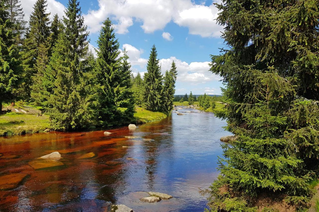 Enjoyharrachov - Atraktivni Slunny Klimatizovany Apartman 14 V Centru Harrachova Se Saunou, Parkovanim, Wifi-Wlan, Sat, Herni Konzoli, Pc S Win 10, Netflix Zdarma A Moznosti Dobijeni Auta S Jedinecnym Vyhledem Na Certovu Horu Se Skokanskymi Mustky Dış mekan fotoğraf